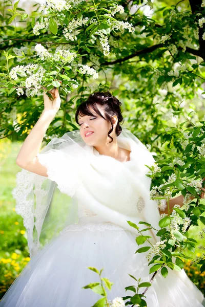 Bella sposa il giorno del matrimonio dell'erede Foto Stock