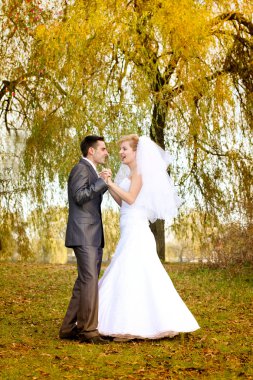 gelin damat