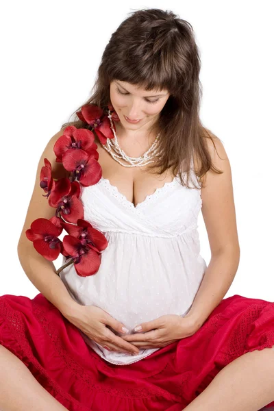 Embarazada encantadora hembra posando en casa —  Fotos de Stock
