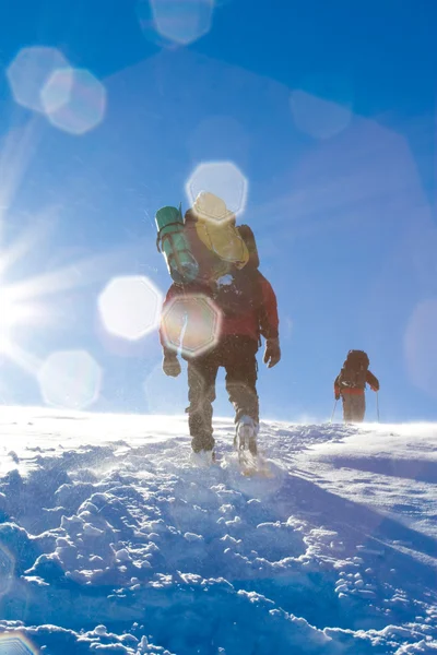 Uzun yürüyüşe çıkan kimse çoğu kışın dağlarda — Stok fotoğraf