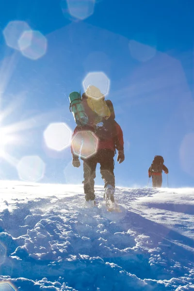 Caminhante estão no inverno nas montanhas — Fotografia de Stock