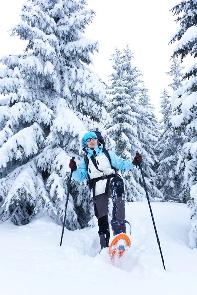 Vandrare går i snö skog — Stockfoto