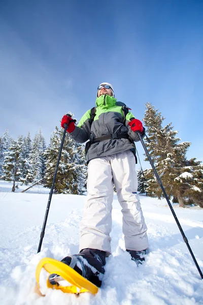 Caminatas en bosque de nieve — Foto de Stock