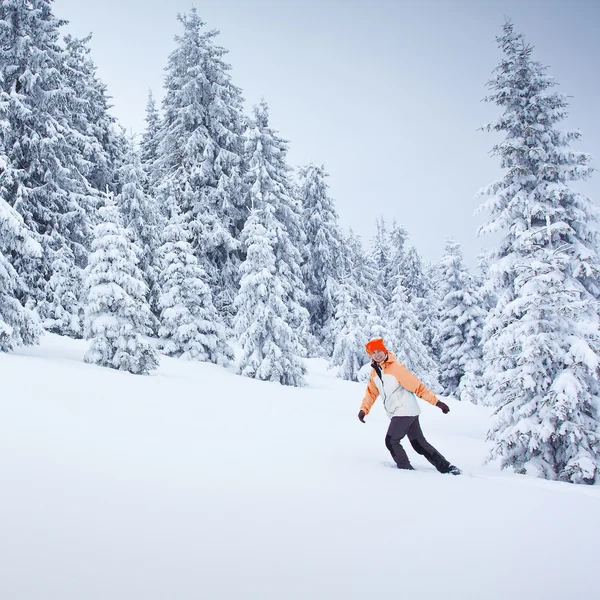 Uzun yürüyüşe çıkan kimse kar ormanda yürür — Stok fotoğraf