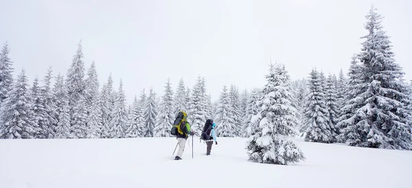겨울 숲에서 등산객 — 스톡 사진
