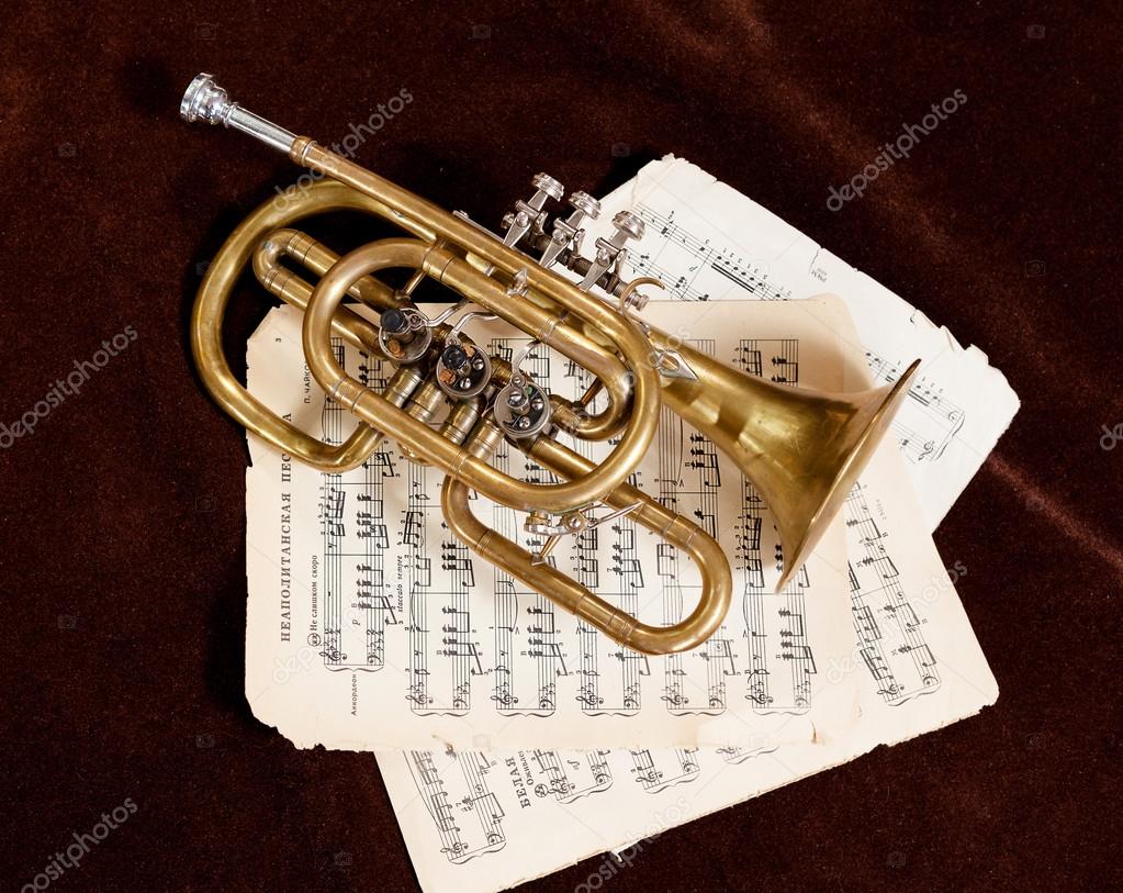 Vintage trumpet is lying between paper sheets with notes