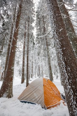 Karpat Dağları hiking kış aylarında kamp