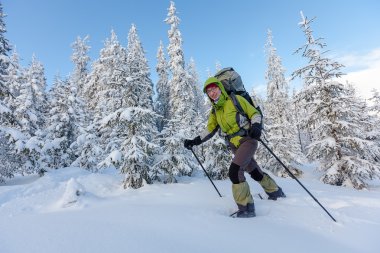 Kış Karpat dağlarında yürüyüş uzun yürüyüşe çıkan kimse