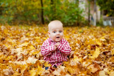 Kırmızı gömlekli çocuk sonbahar Park'ta oturuyor