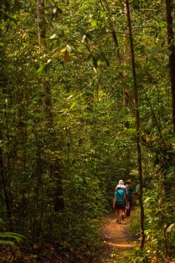 Ormanlarda Sri Lanka Trekker yürür