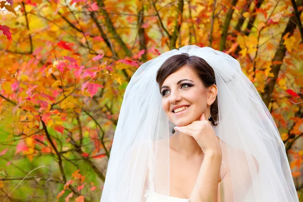 Hermosa novia en el día de la boda heredero —  Fotos de Stock