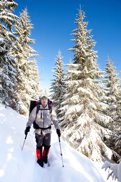 Kış dağlarında yürüyüş yapan — Stok fotoğraf