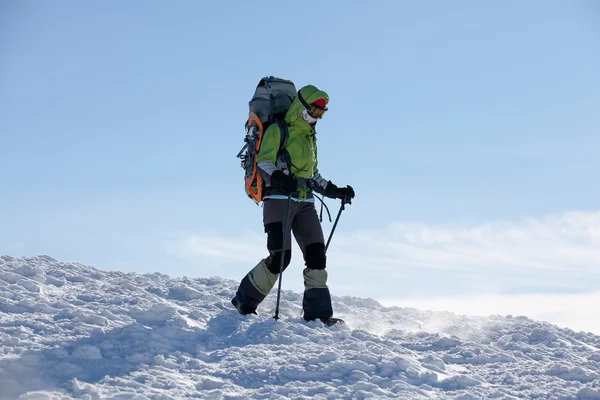 冬カルパティア山脈で歩くハイカー — ストック写真