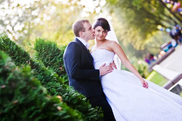 Noiva feliz e noivo em seu dia do casamento — Fotografia de Stock