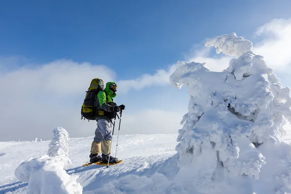 冬カルパティア山脈で歩くハイカー — ストック写真