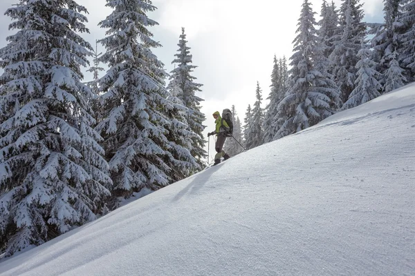 Wandelaar wandelen in de winter Karpaten — Stockfoto