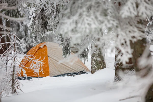 Camping during winter hiking in Carpathian mountains — Stock Photo, Image