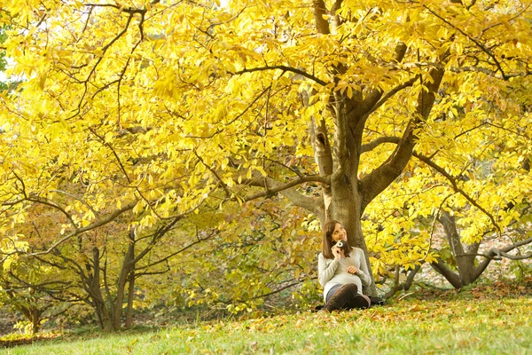 Happy Pregnant female  in the park — Stock Photo, Image