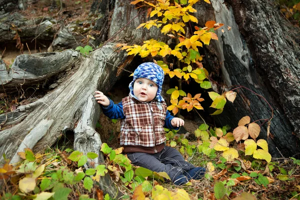 Bayi laki-laki Kaukasia yang lucu di taman melihat ke kamera — Stok Foto