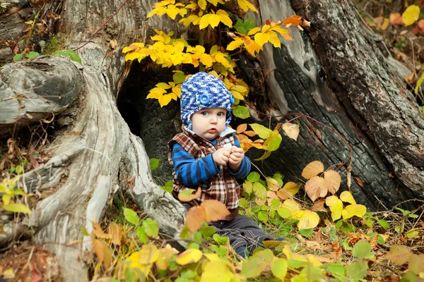 Anak dalam sweter rajutan duduk di taman musim gugur — Stok Foto