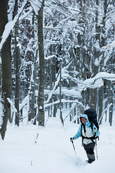 Caminhante em montanhas de inverno — Fotografia de Stock