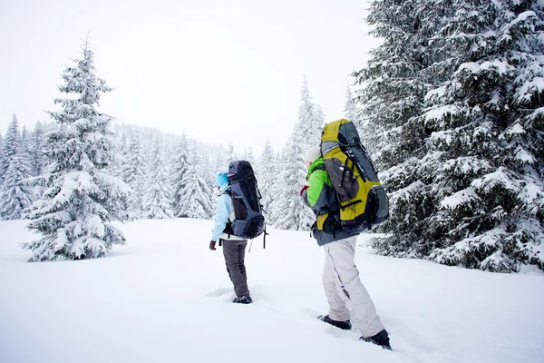 Wandelaar in het winter forest — Stockfoto