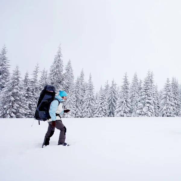 冬の森でハイカー — ストック写真