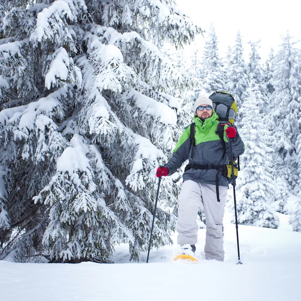 Randonnées pédestres dans la forêt de neige — Photo