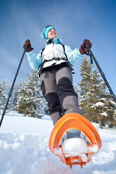 Caminatas en bosque de nieve — Foto de Stock