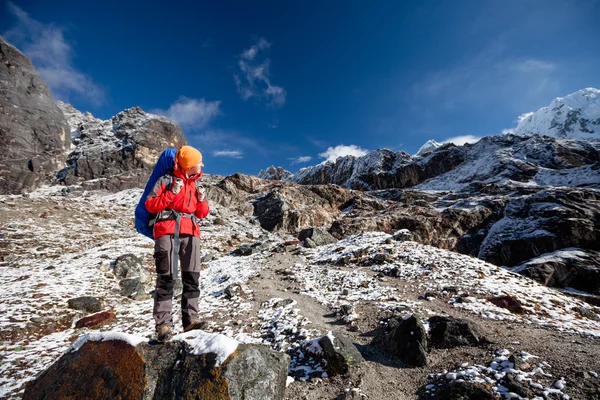 Senderista en la caminata en Himalaya, valle de Khumbu, Nepal —  Fotos de Stock