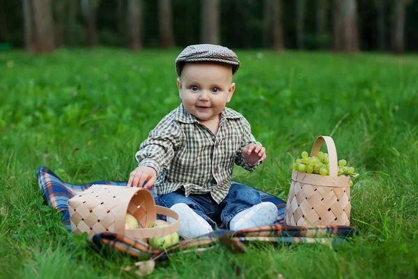 Šťastné dítě s košíkem ovoce hrát venku v podzimní par — Stock fotografie