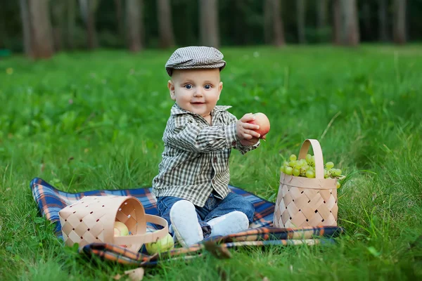 Šťastné dítě s košíkem ovoce hrát venku v podzimní par — Stock fotografie