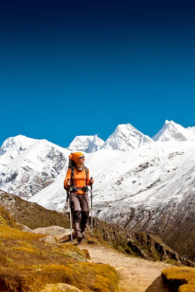 Wandelen in de Himalaya bergen — Stockfoto