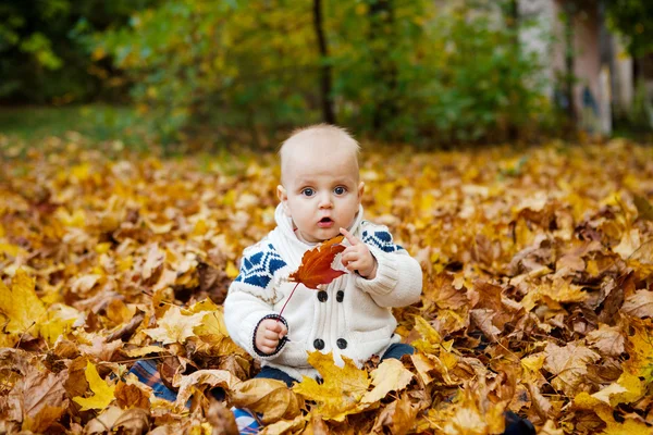 Niño en suéter de punto se sienta en el parque de otoño — Foto de Stock