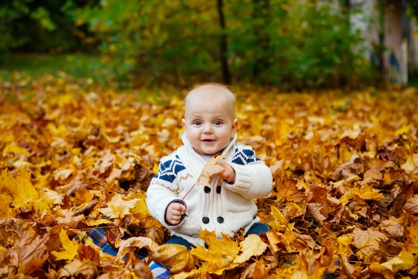 Niño en suéter de punto se sienta en el parque de otoño — Foto de Stock