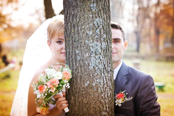 Noiva e noivo — Fotografia de Stock