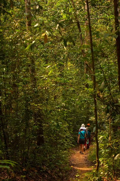 Trekker berjalan di hutan-hutan di Sri Lanka — Stok Foto