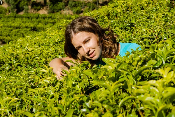 Caucasian woman examines leaves of tea at plantation in Sri Lank — Stock Photo, Image