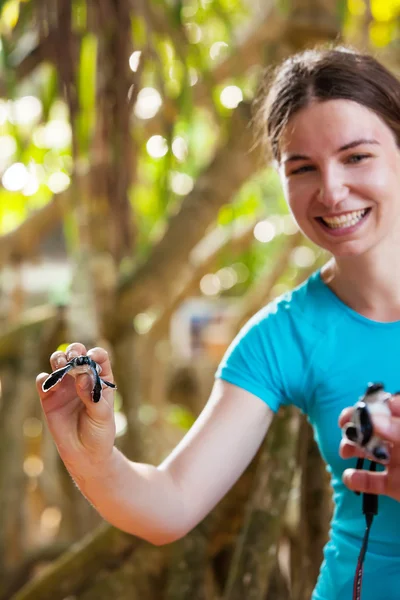 เต่าทารกที่เพิ่งฟักในมือของเด็กผู้หญิงที่ Sea Turtles Conservat ภาพถ่ายสต็อกที่ปลอดค่าลิขสิทธิ์