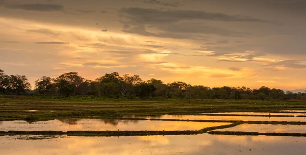 Atardecer dramático en el lago en Sri Lanka — Foto de Stock