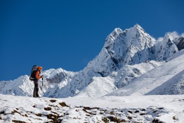 Uzun yürüyüşe çıkan kimse tren Himalayalar yürür