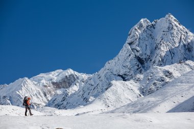 Uzun yürüyüşe çıkan kimse tren Himalayalar yürür