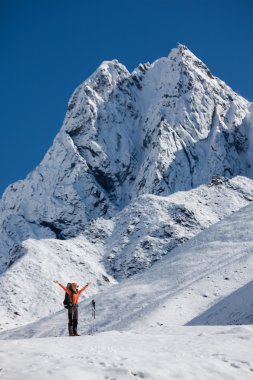 Uzun yürüyüşe çıkan kimse tren Himalayalar yürür