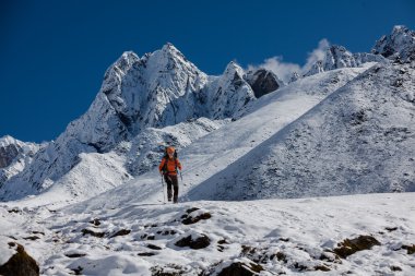 Uzun yürüyüşe çıkan kimse tren Himalayalar yürür