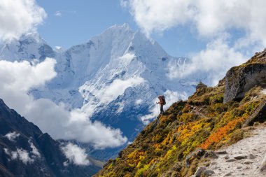 Uzun yürüyüşe çıkan kimse tren Himalayalar yürür