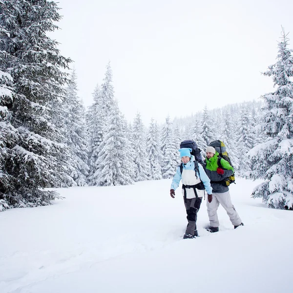 Vandrare i skogen vinter — Stockfoto