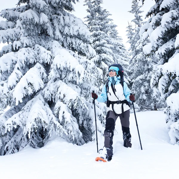 Természetjáró sétákat hó erdő — Stock Fotó