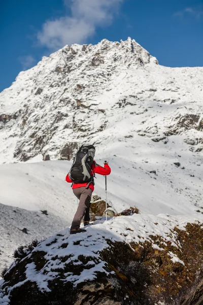 Wanderer wandert im Himalaya auf Zug — Stockfoto