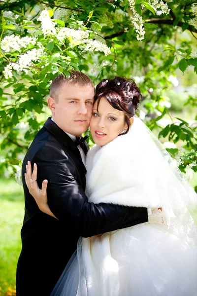 Bride and groom — Stock Photo, Image