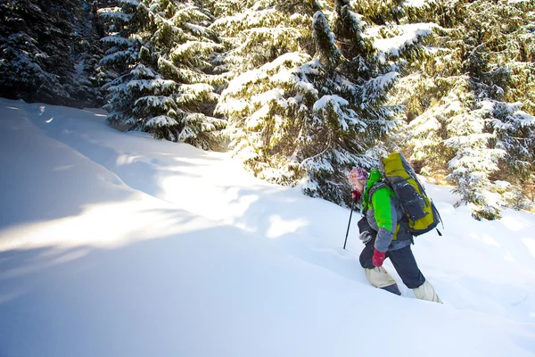 Wandelaar in de winter bergen — Stockfoto